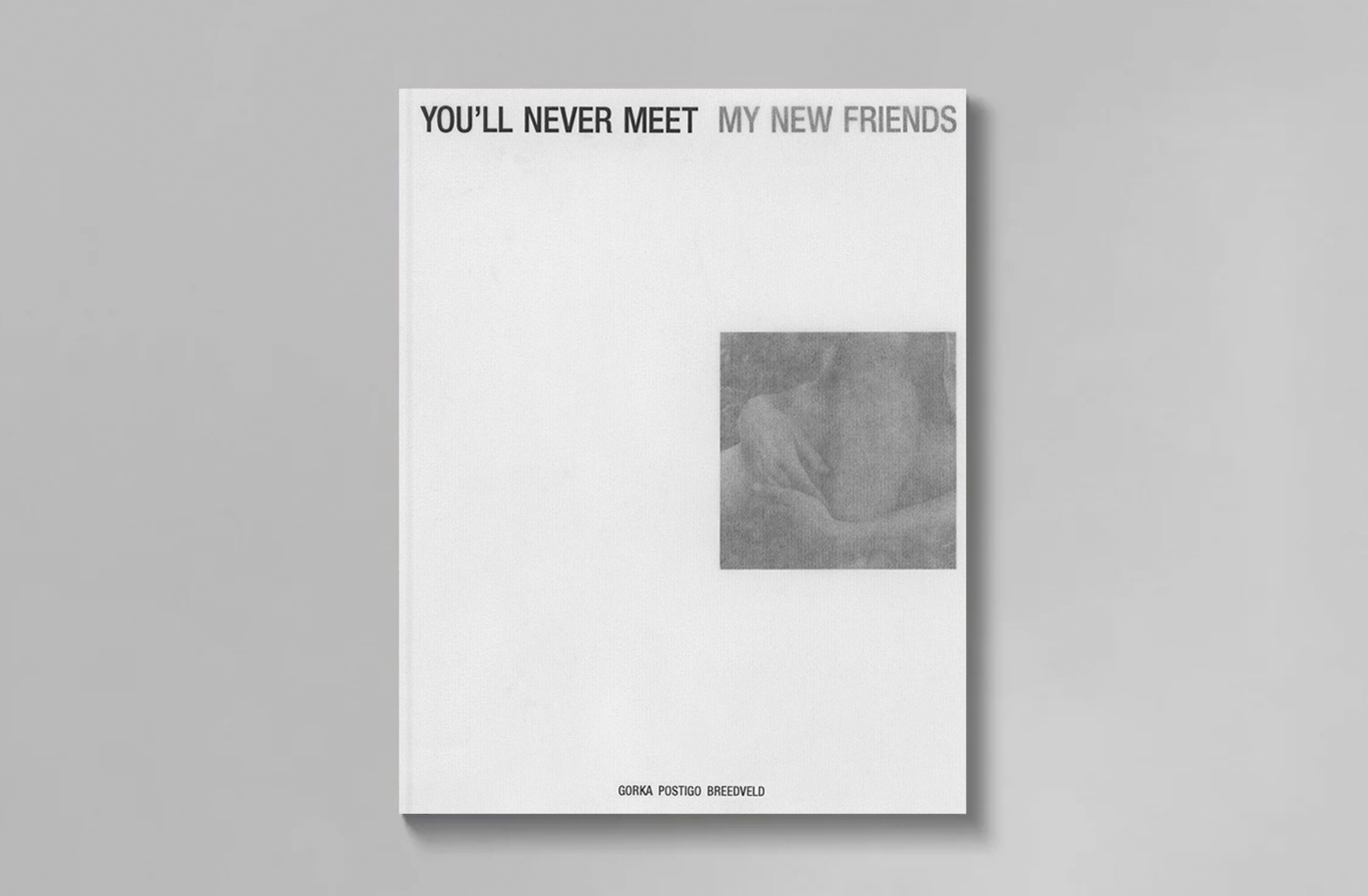 You'll Never Meet My New Friends