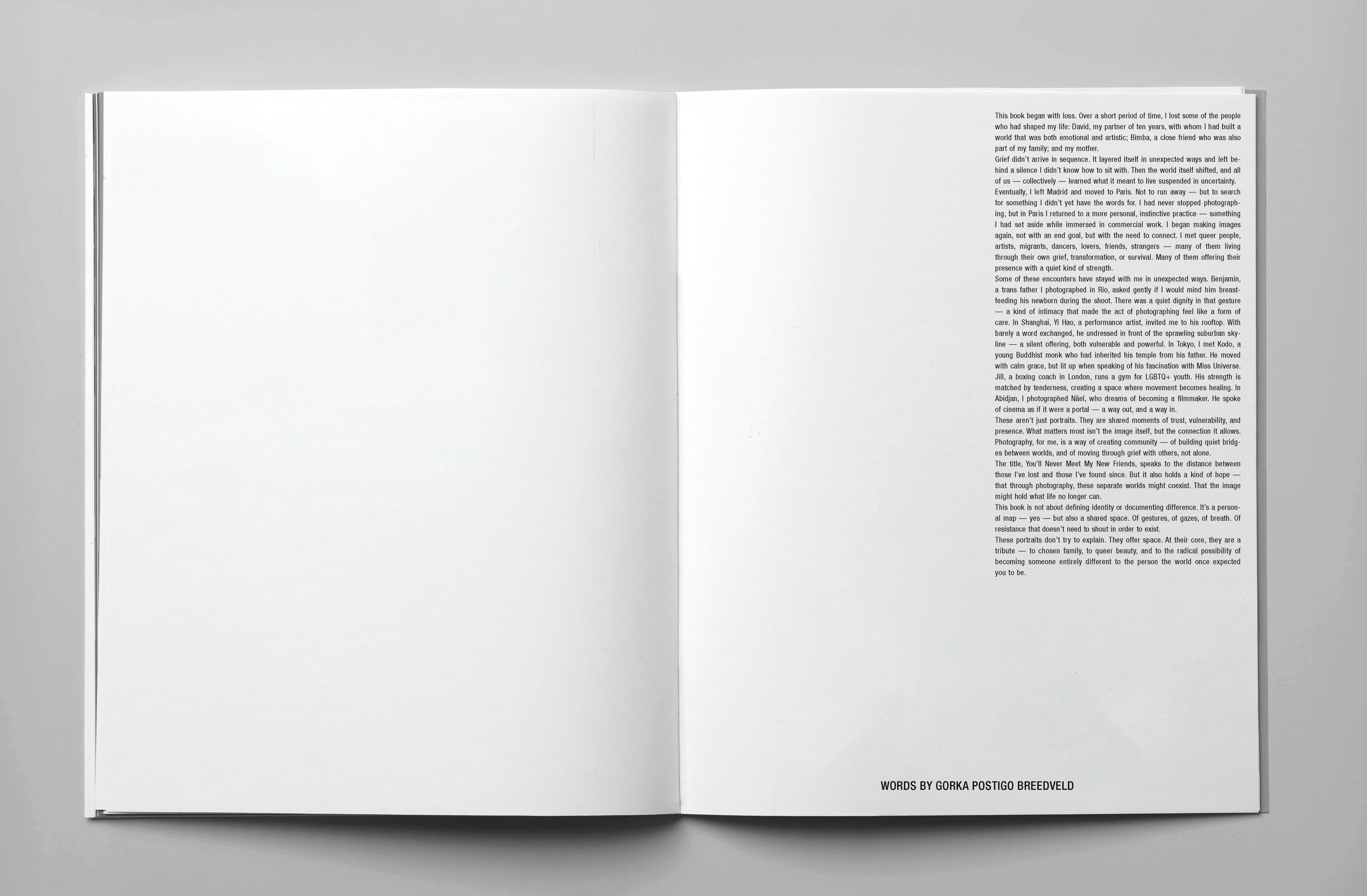 You'll Never Meet My New Friends