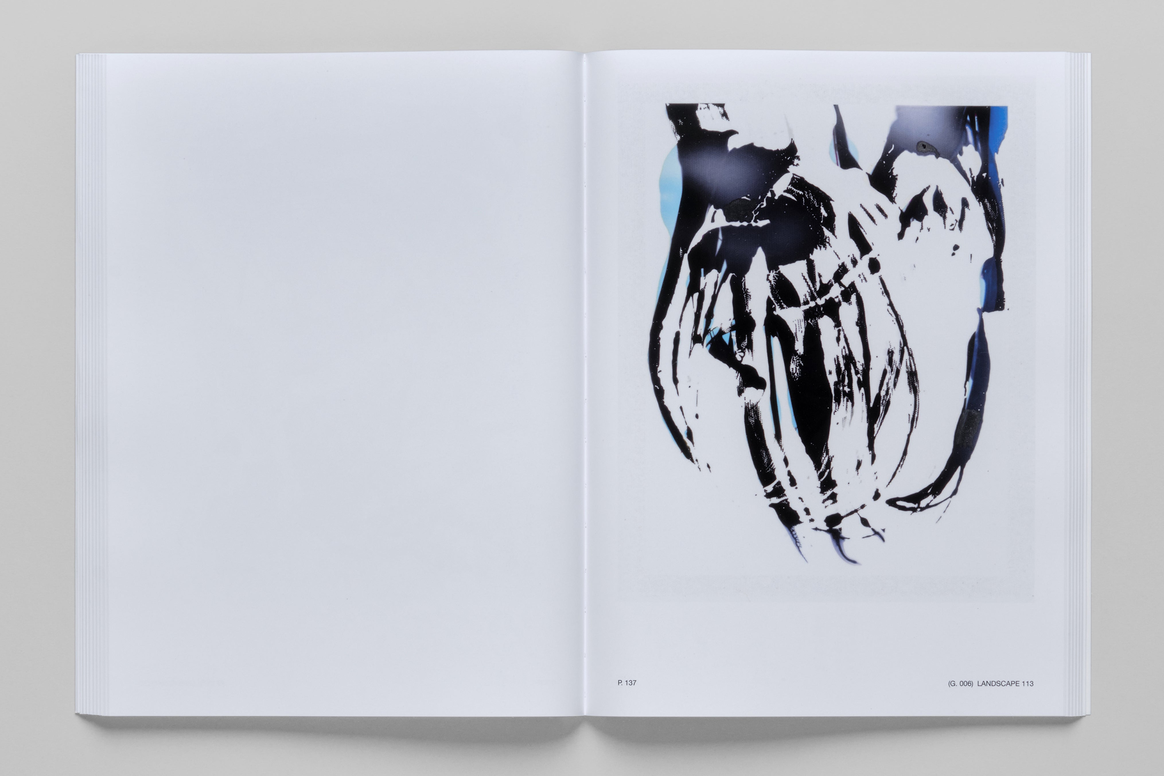 197 Landscapes of Abstraction