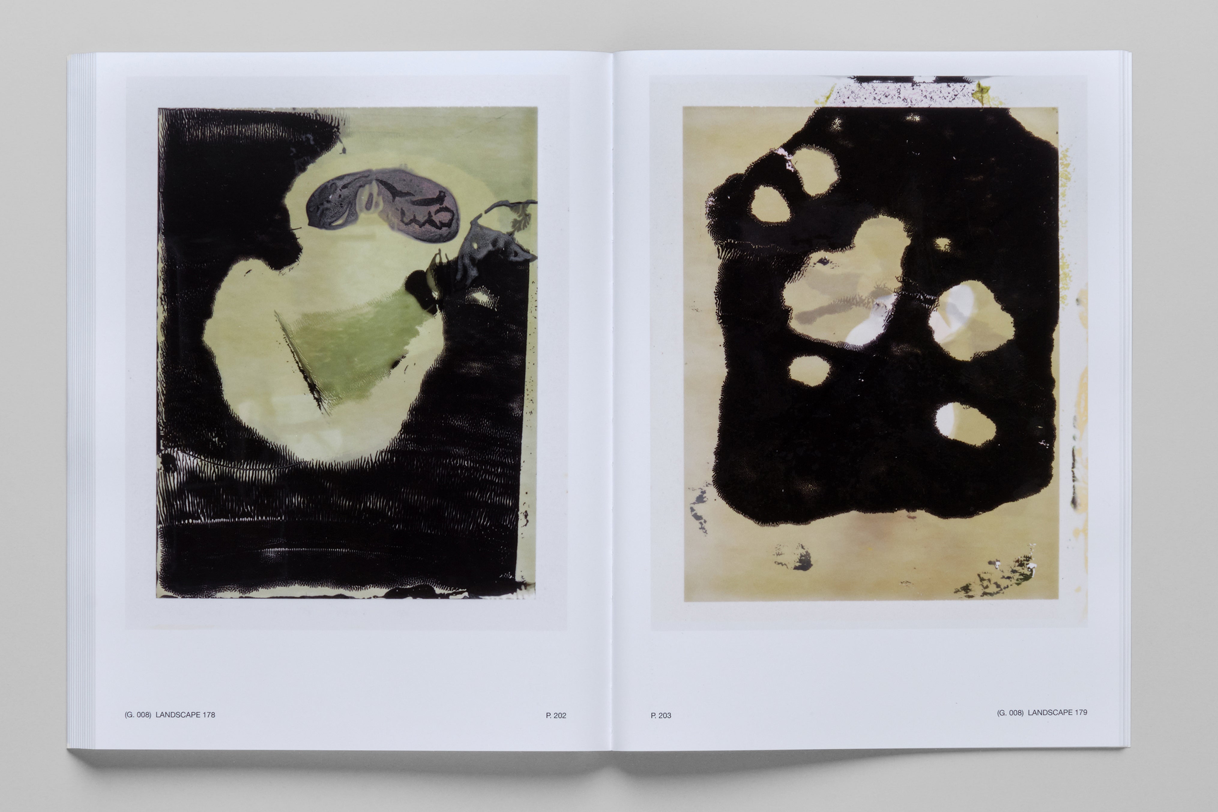 197 Landscapes of Abstraction