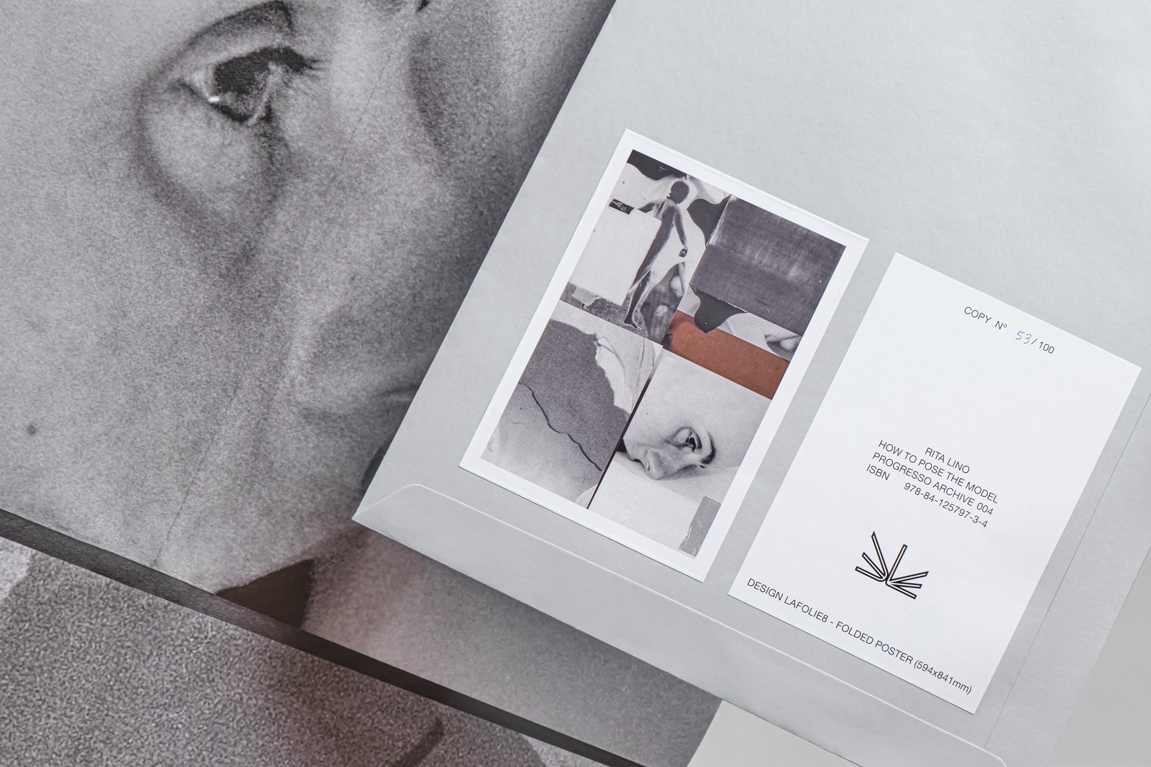 How to Pose the Model