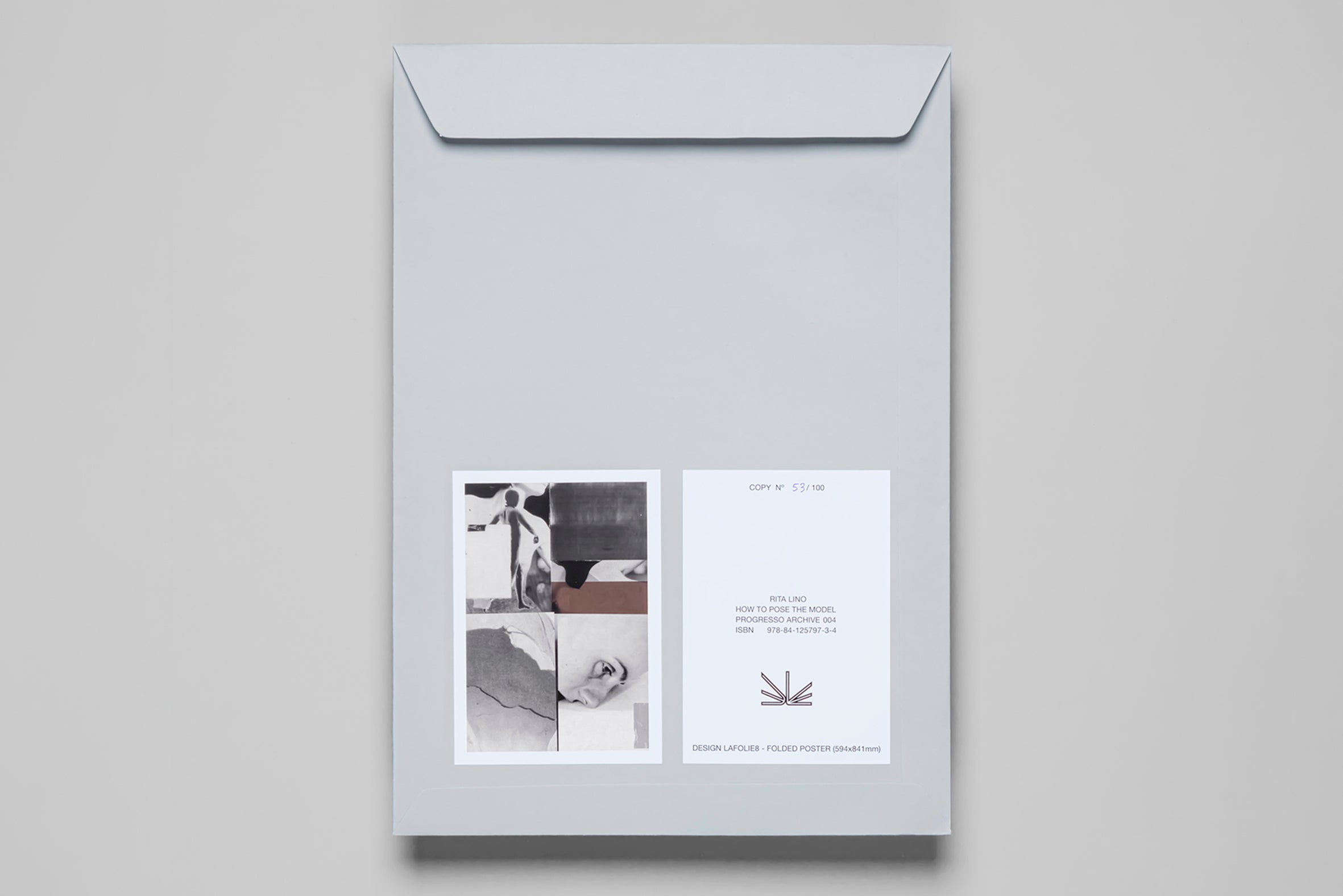 How to Pose the Model