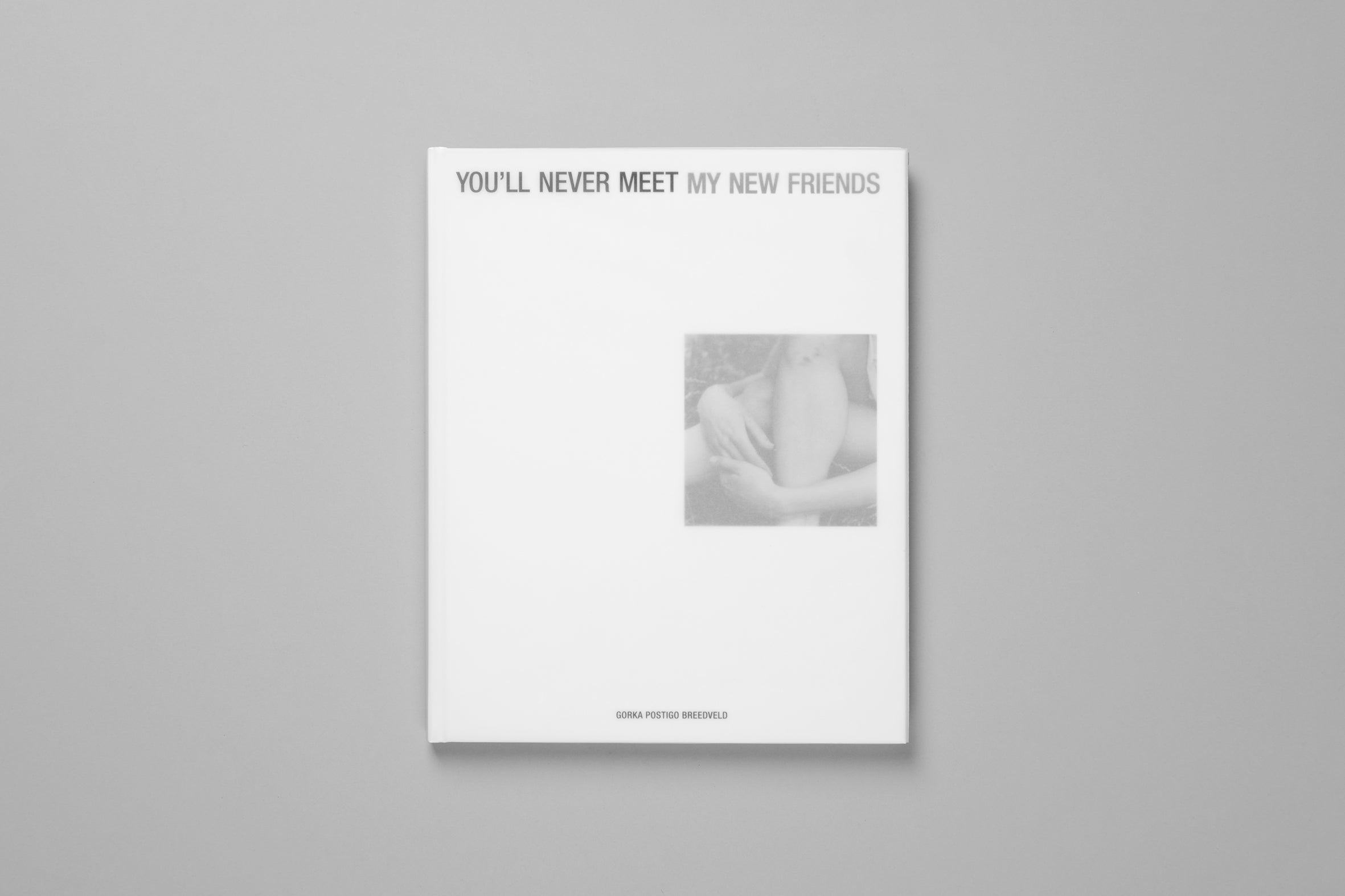 You'll Never Meet My New Friends