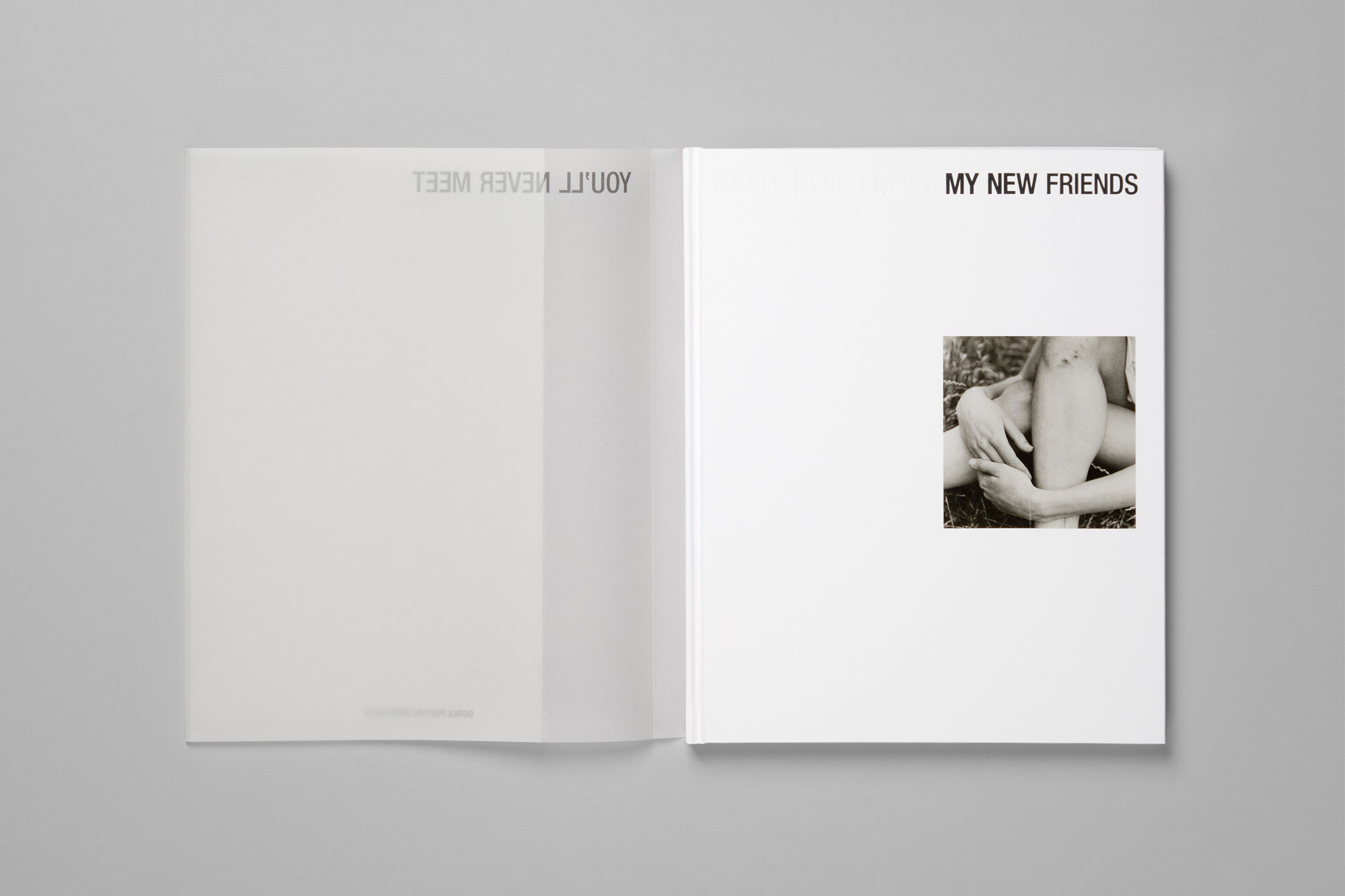 You'll Never Meet My New Friends