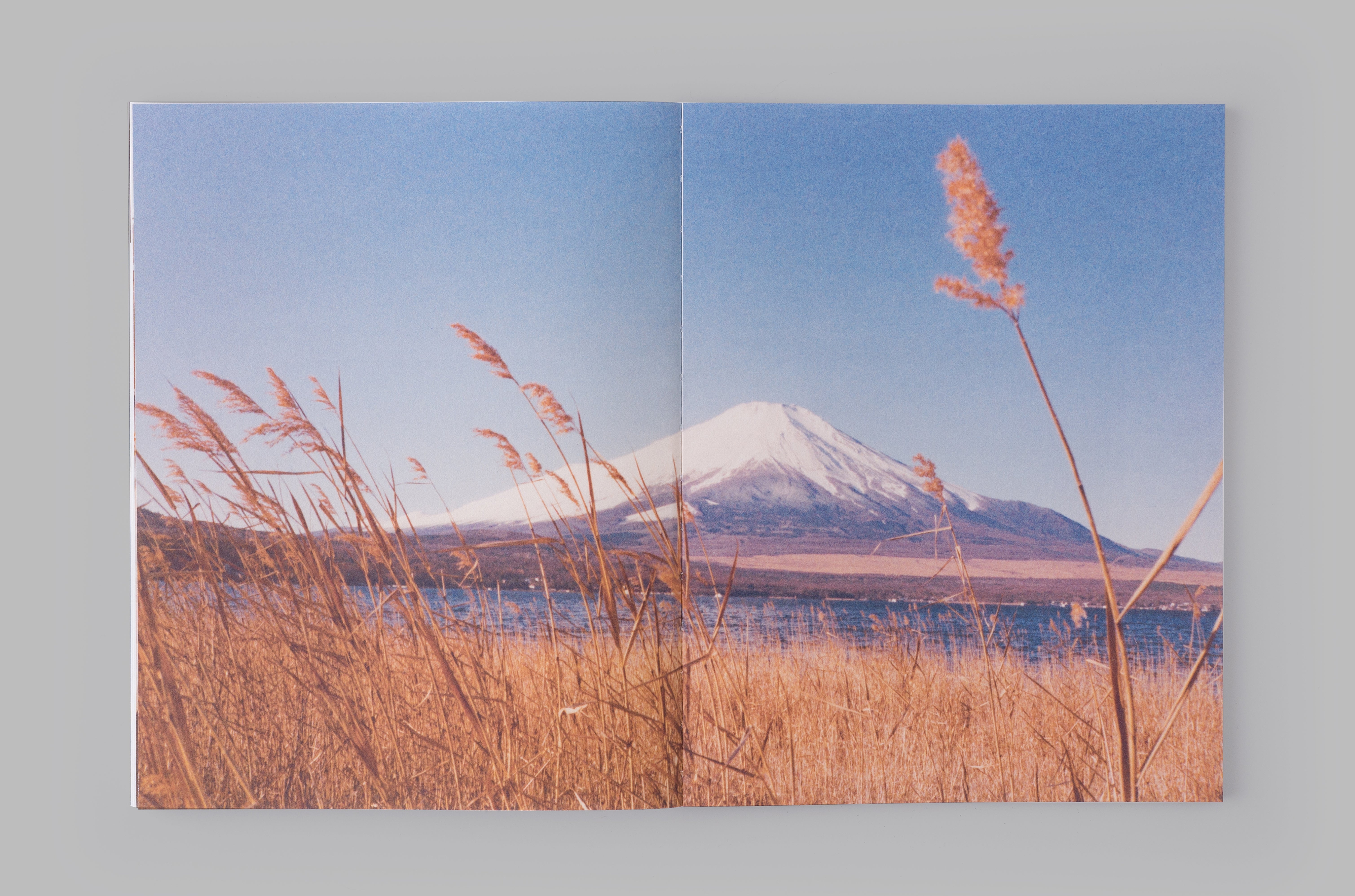 su·ti·ru·zu / Second Edition